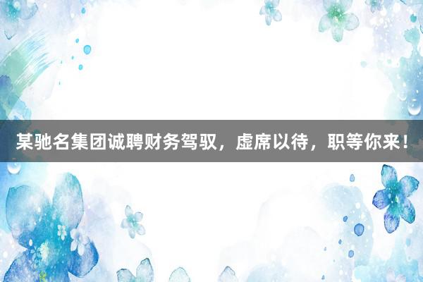 某驰名集团诚聘财务驾驭，虚席以待，职等你来！