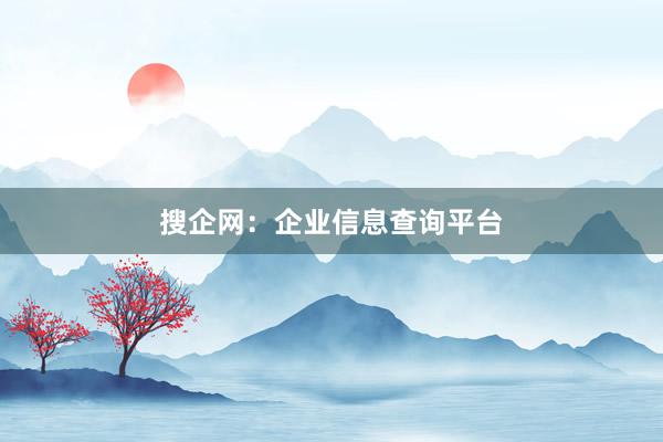 搜企网：企业信息查询平台