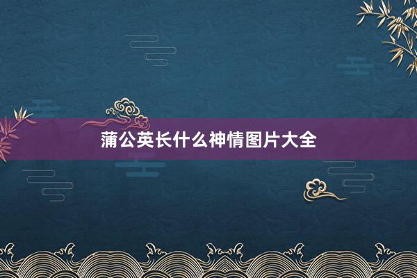 蒲公英长什么神情图片大全