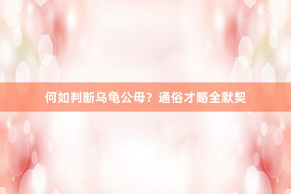 何如判断乌龟公母？通俗才略全默契
